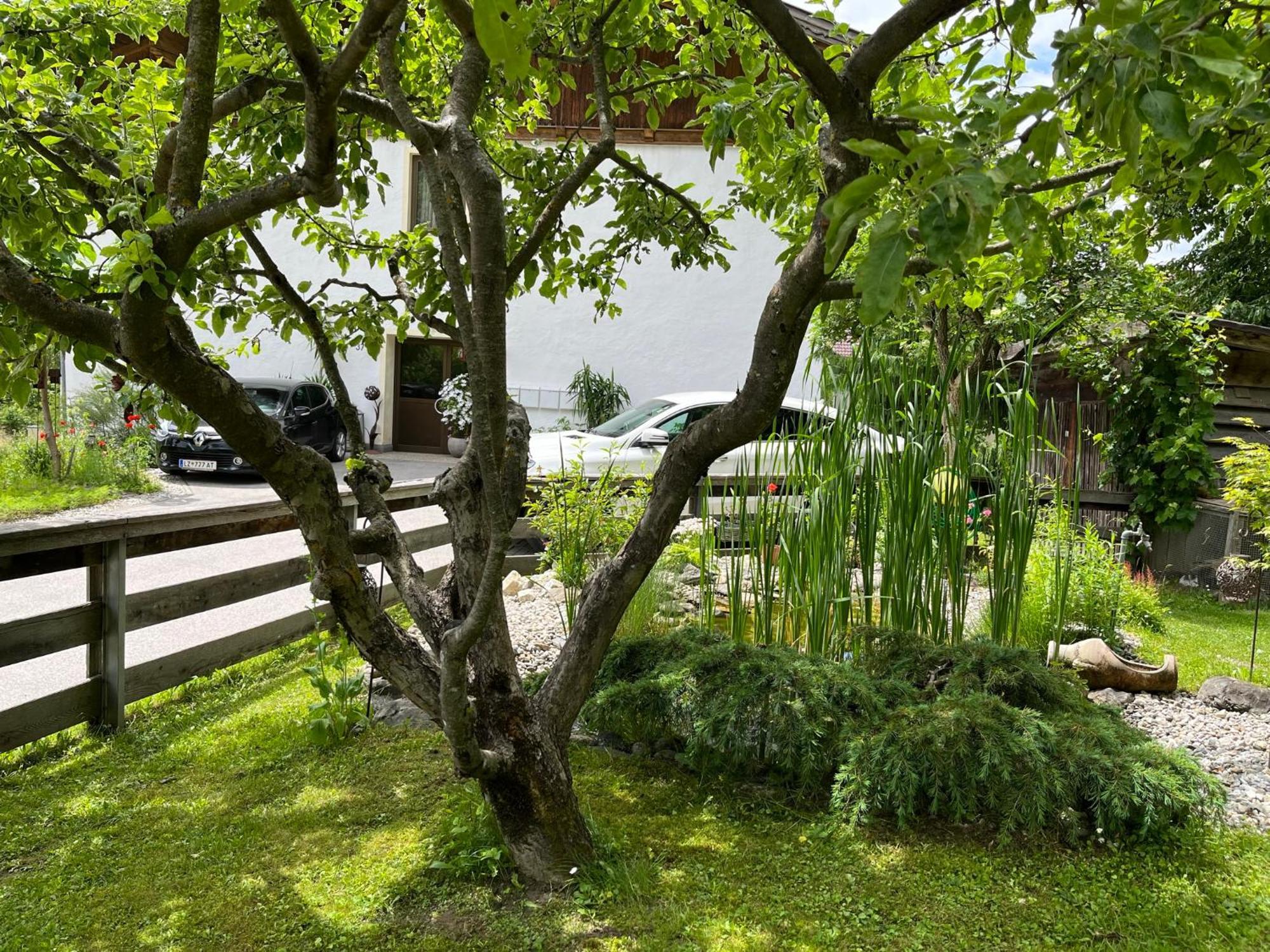 Bergmanns Ferienapartment Debant Ngoại thất bức ảnh
